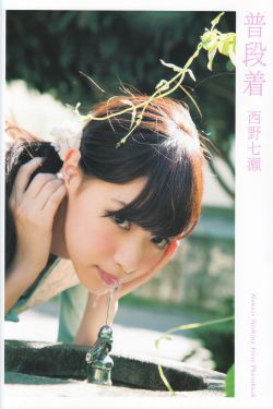 三节片